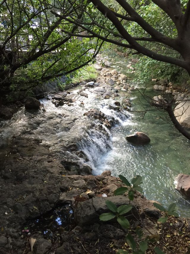 台灣快閃🤪北投景點☺️地熱谷公園👍🏻超熱泉水‼️
