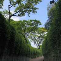 📝 福康寧公園🌳✨ 螺旋樓梯打卡位✨