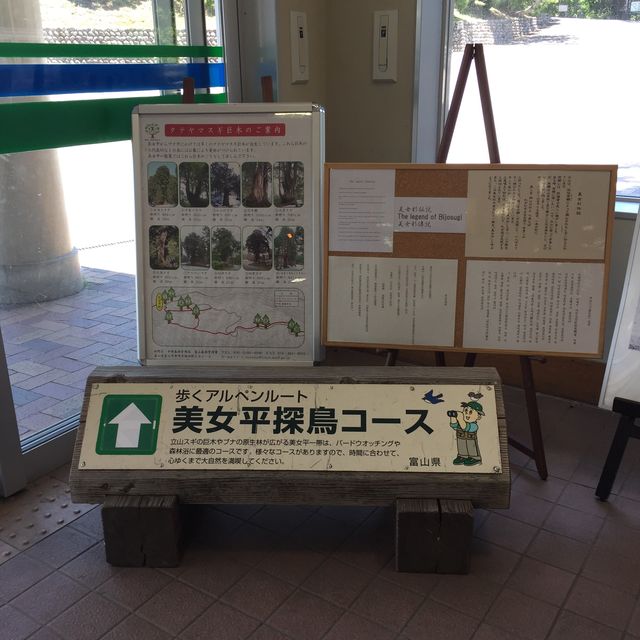 美女平 ｜自然探島步道🌲🌳🕊️