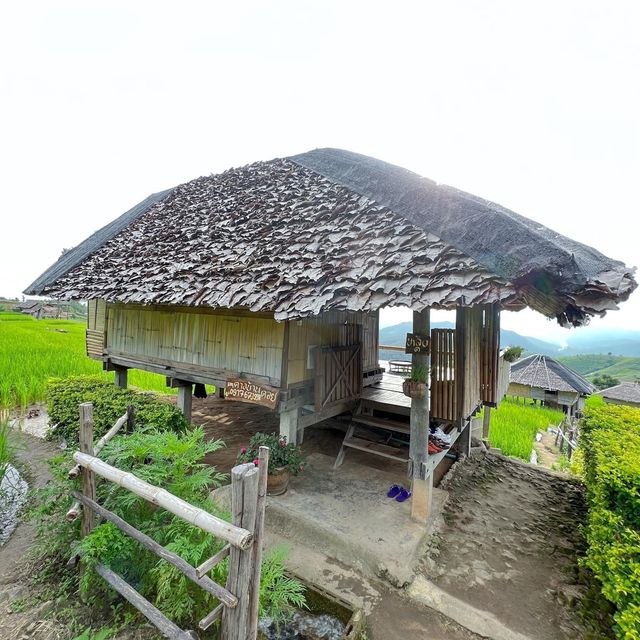 ป่าบงเปียง 🌾