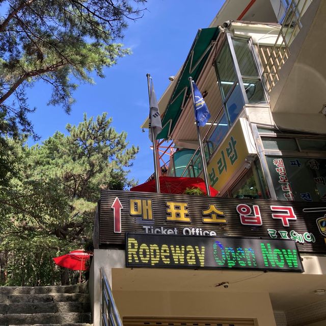 ［釜山］一小時來回快閃登山～金剛山纜車之旅