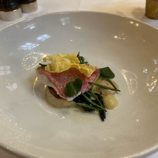 Magnificent Lunch 