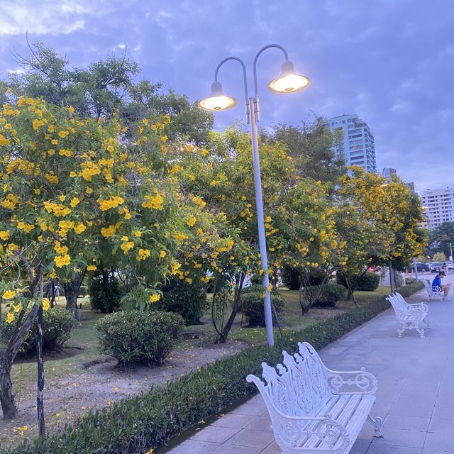 สวนเบญจกิติกลางคืนนนนน ~