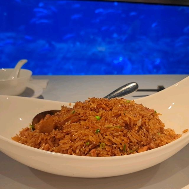 水族館主題高級餐廳🐟🐠邊食邊睇魚😍午餐美食分享👍