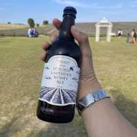 MUST Visit 🇬🇧 Hitchin Lavender Farm