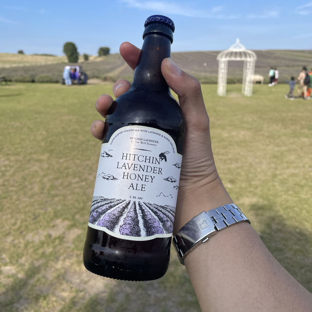 MUST Visit 🇬🇧 Hitchin Lavender Farm