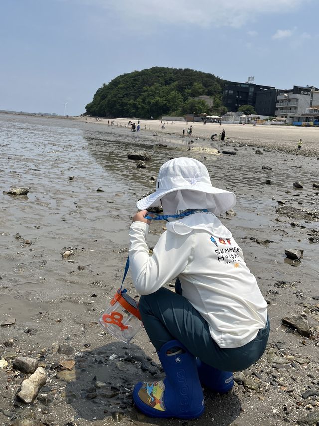 📌 서울근교 당일치기 - 대부도 “왐왐커피” , “구봉도-해솔길” 