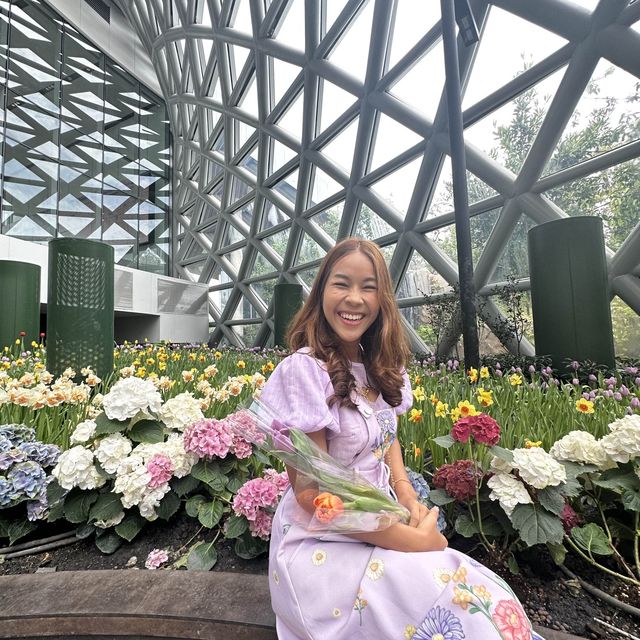 ทิวลิปบานที่ระยองมีอยู่จริง