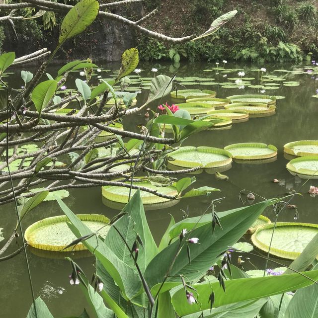The Gardens of Panyu