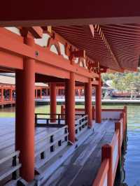 神聖的海上之旅⛩️⛩️🌊 嚴島神社