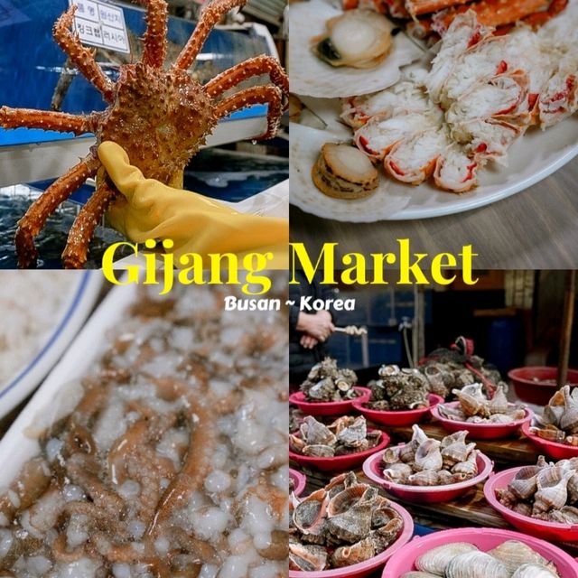 Gijang Market สวรรค์ของคนรักซีฟู้ด @ปูซาน!