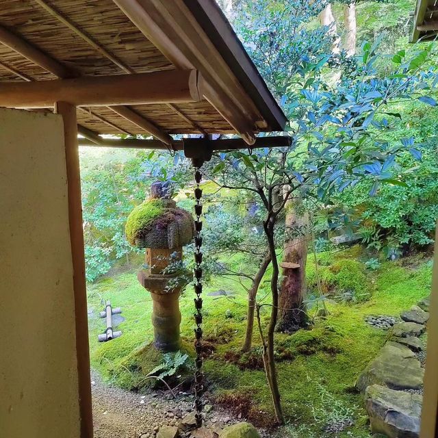 京都的瑠璃光院：穿越時空的彩色幻境 🏯🌸🌈 