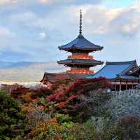 Autumn Night Illumination of the Kiyomizu-dera