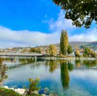 Autumn Bliss on Rheinquai's Edge