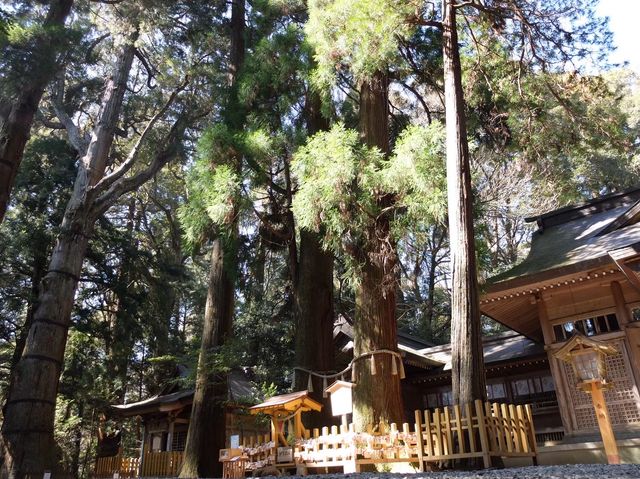 【宮崎 高千穂】高千穂神社 槵觸神社