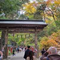 【11中旬〜12上旬が見ごろ！🍁秋の高尾山で紅葉ハイキング】