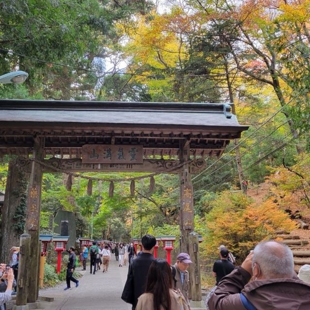 【11中旬〜12上旬が見ごろ！🍁秋の高尾山で紅葉ハイキング】