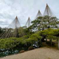 【石川県金沢市】日本庭園🌳日本の文化に触れる