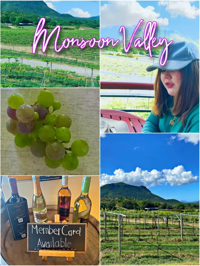  ไร่องุ่นสัญชาติไทย Monsoon Valley หัวหิน🍇