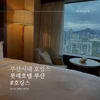 부산시내 고급스러운 호캉스, 롯데호텔 부산🛌