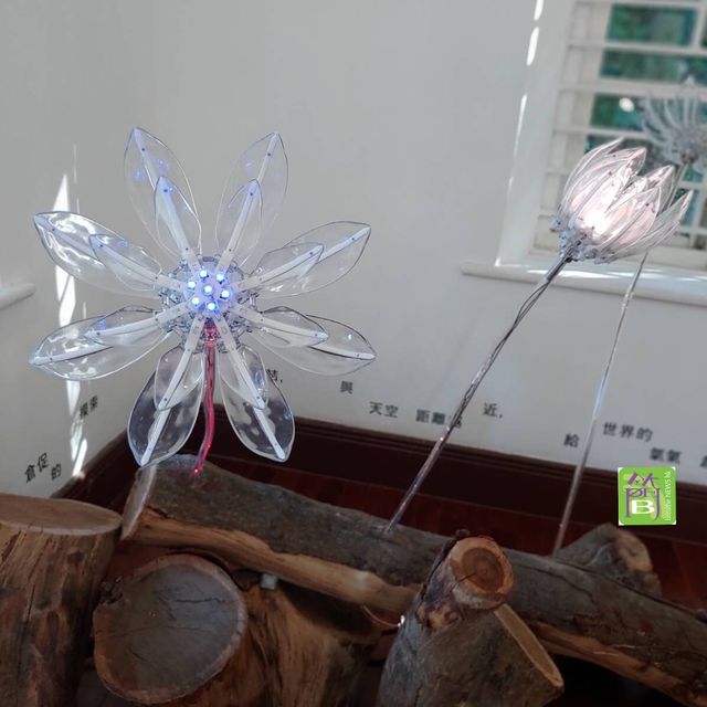 本地遊好去處《一樹無聲》展覽