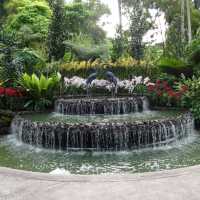 Discovering the Beauty of Nature