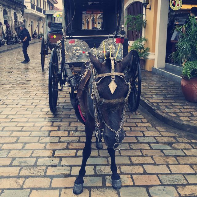 Very Vintage, Vigan…