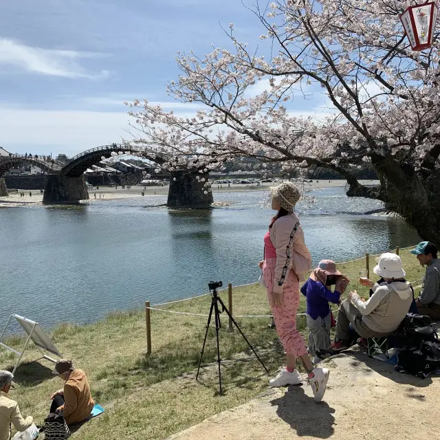 山口県　岩国市　錦帯橋