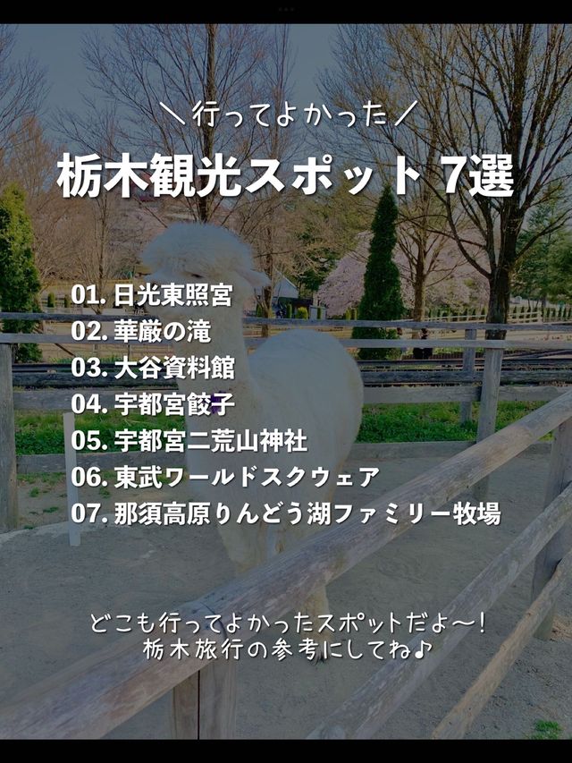 【栃木】行ってよかった！栃木の観光スポット7選