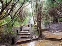 澳洲墨爾本 摩寧頓半島 🫧半島溫泉(Peninsula hot springs)