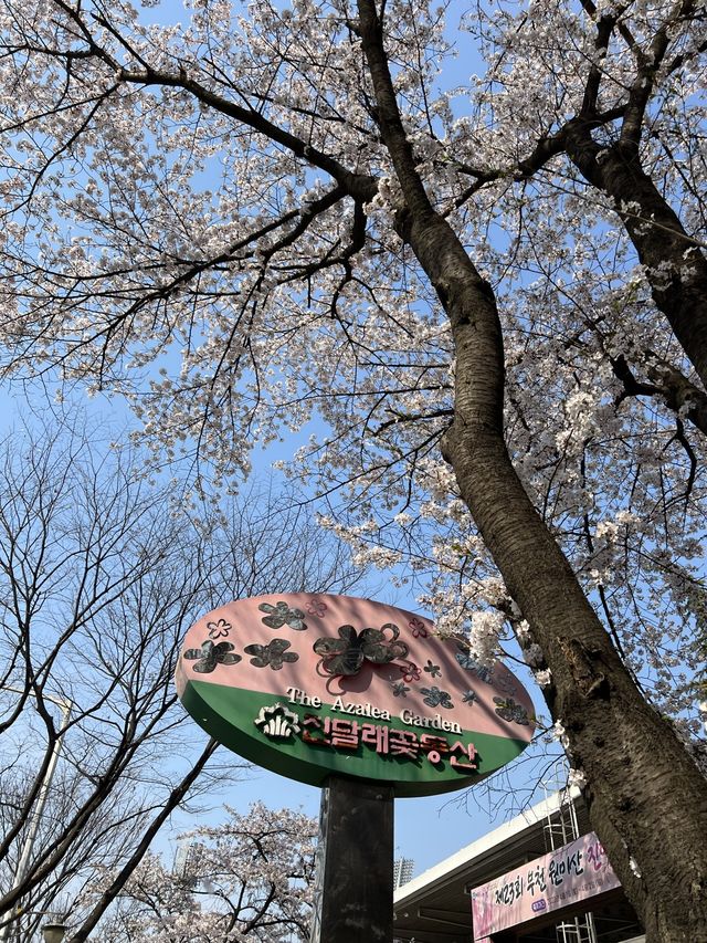 말그대로 꽃동산 그 자체💕