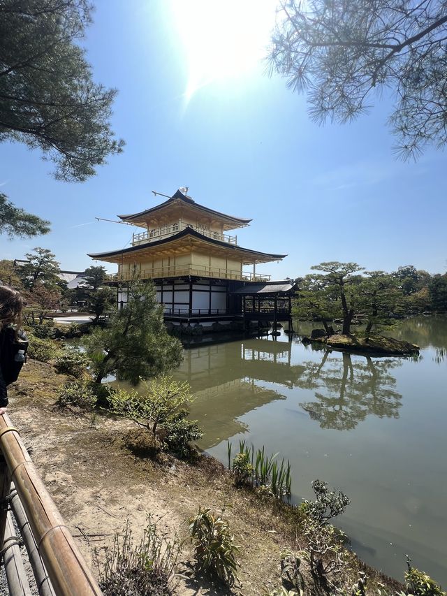 金光閃閃金閣寺