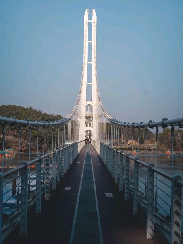 예산군 대표 관광지 "예당호 출렁다리"