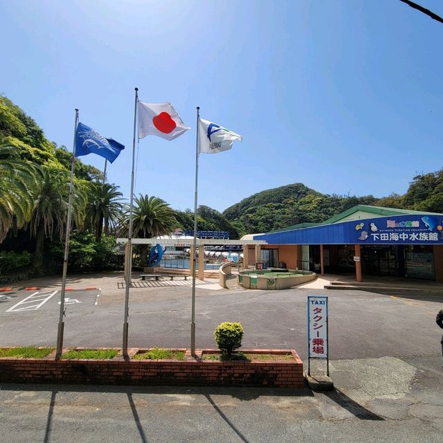 【伊豆】下田海中水族館
