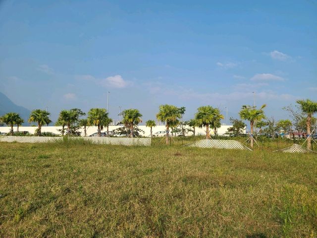【港版邁阿密~屯赤公園🌴】