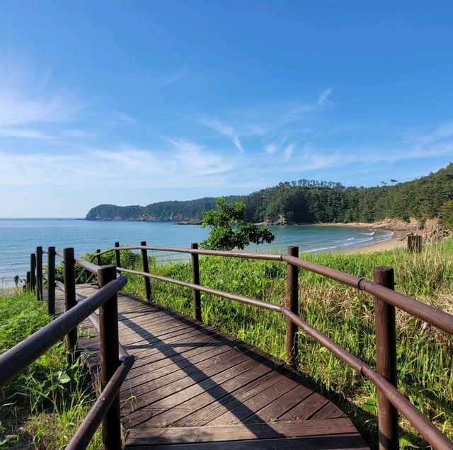 고즈넉한 여유로움을 즐길 수 있는 태안 구름포 해수욕장🏖