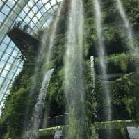 【シンガポール】近未来植物園ガーデンバイザベイ