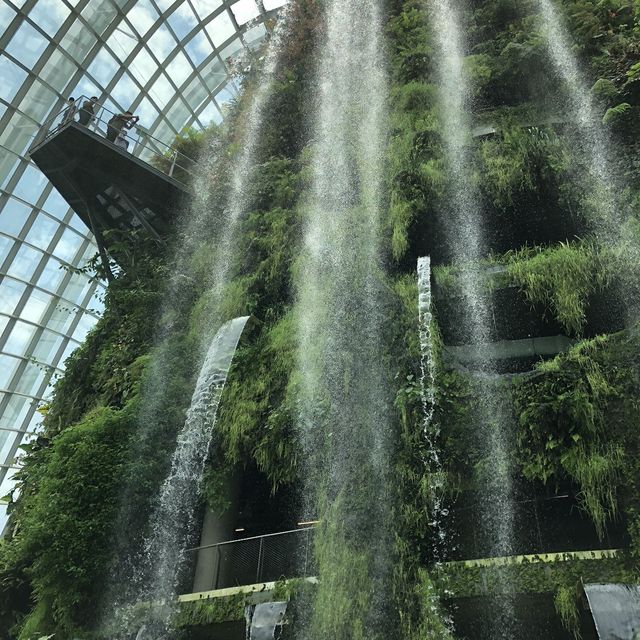 【シンガポール】近未来植物園ガーデンバイザベイ