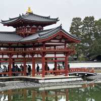【日本/京都/宇治平等院】- 鳳凰堂 平等院 By CoStudio