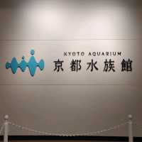 海の生き物ってどうやって眠るの？　夜の京都水族館