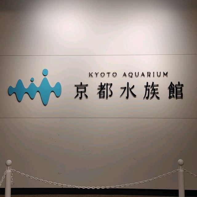 海の生き物ってどうやって眠るの？　夜の京都水族館