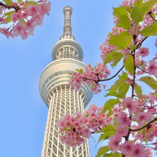 Travel moment in Tokyo 🇯🇵