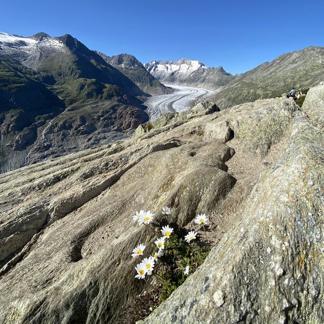 瑞士🇨🇭 ｜🌟探索壯麗奧地利阿來奇冰川的冒險之旅🥾