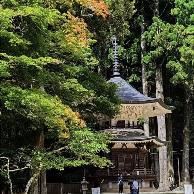 靈巖靜修！⛩️🧘 高野山