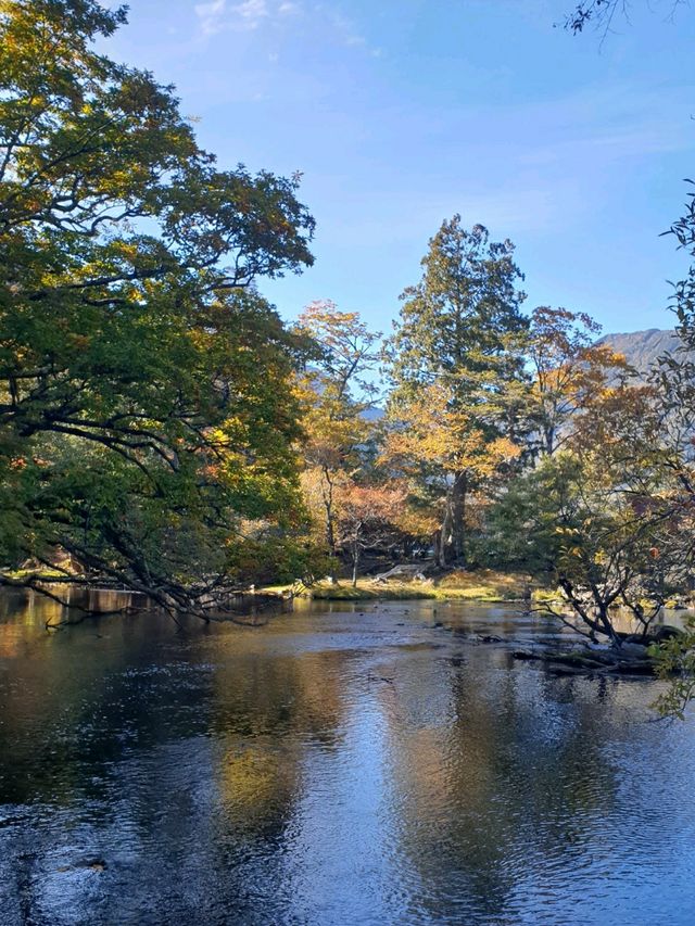 주젠지코,센조가하라트레킹 15km