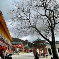 風景怡人，人傑地靈，圓玄學院