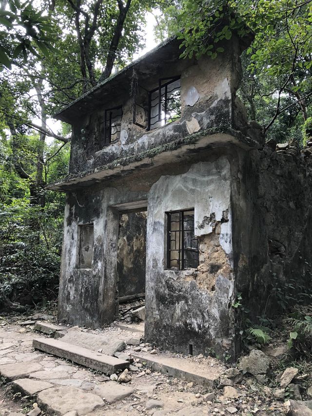 香港新手行山🍀茅坪藤皇+竹林隧道路線