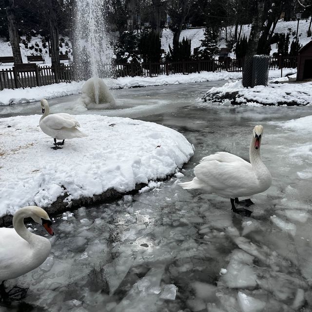 アンカラ中心部のKuğul 公園も雪景色