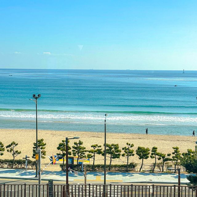 바다를 지나는 해변열차뷰 카페🚃🌊