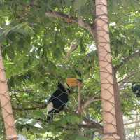 Manila Zoo